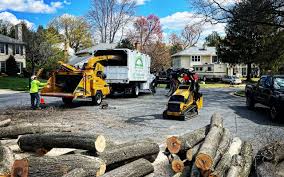 Seasonal Cleanup (Spring/Fall) in Center Moriches, NY